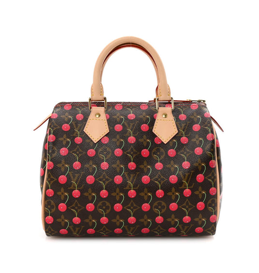 Louis Vuitton Speedy Bags