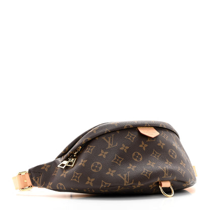Louis Vuitton Monogram Bumbag 4 of 13