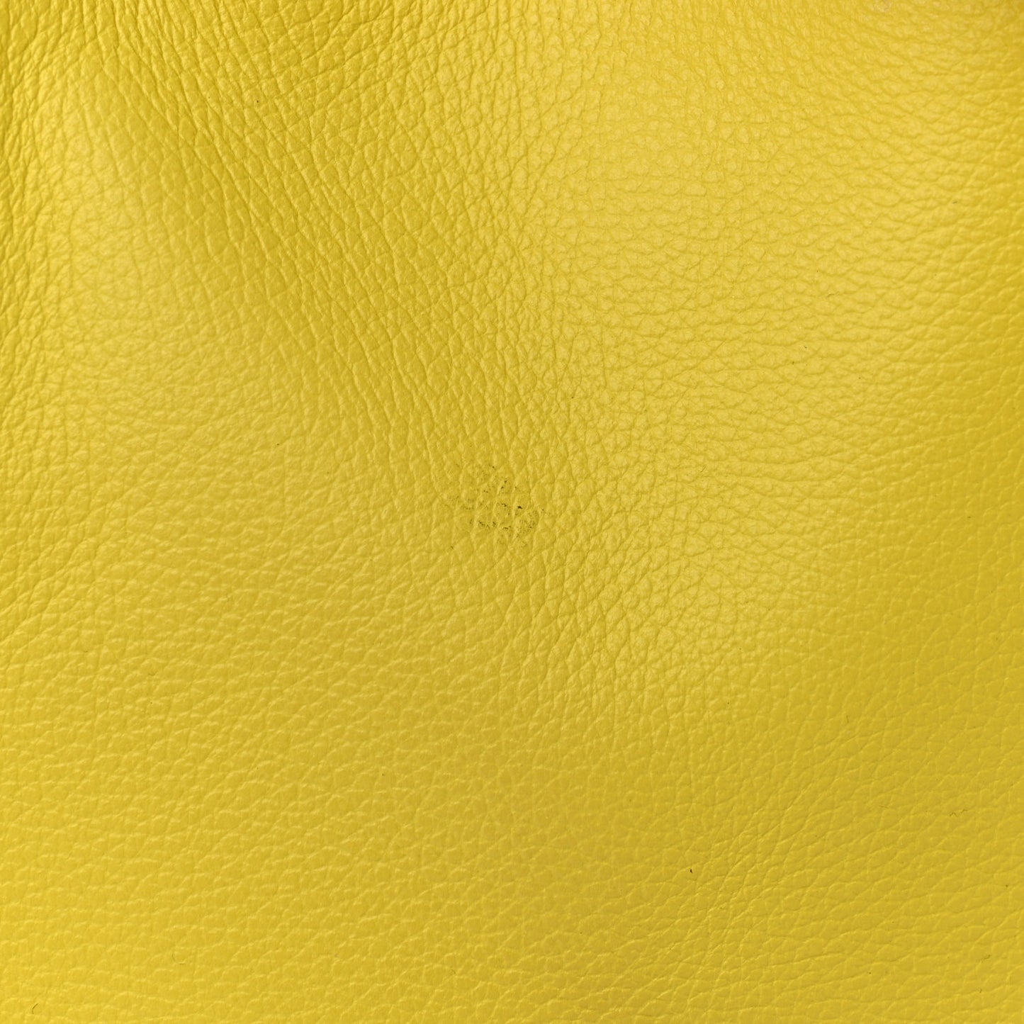 Evercolor Lindy 30 Lime