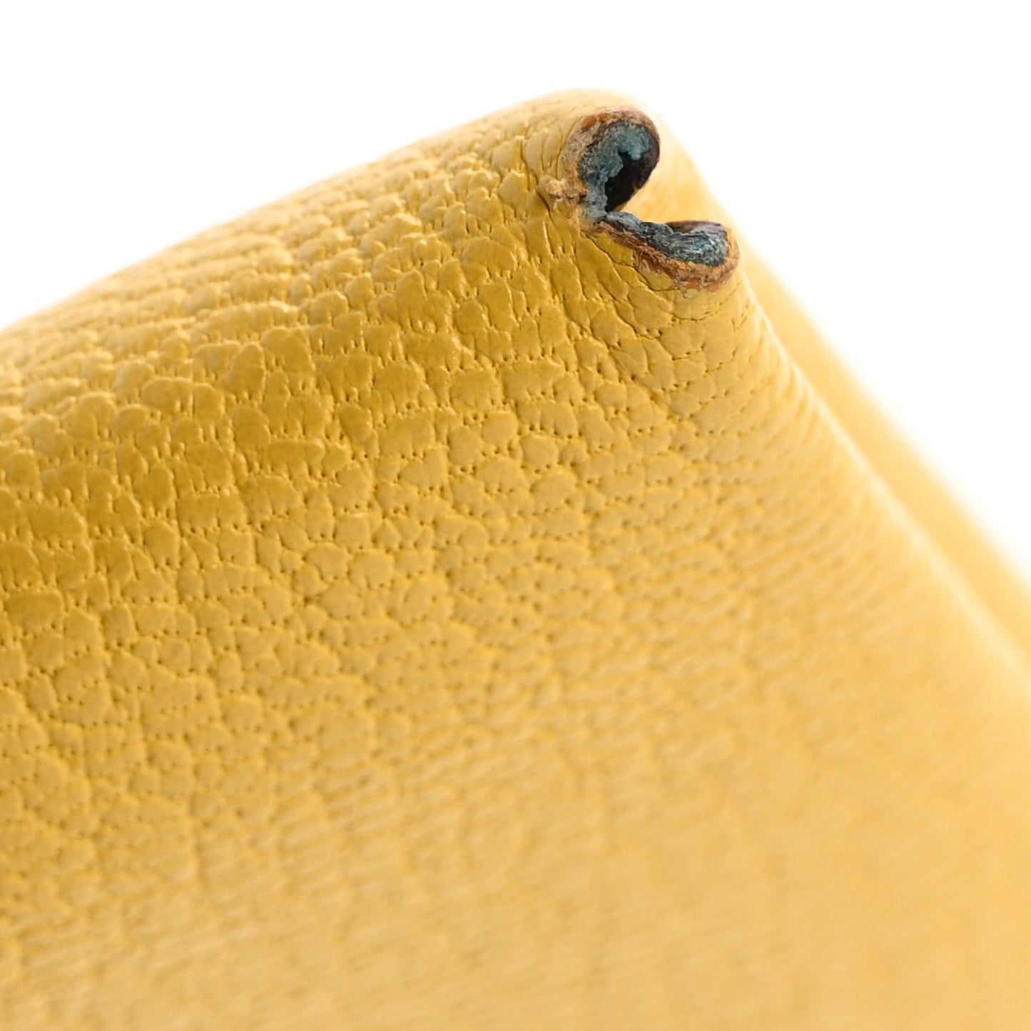 Chevre Mysore Verso Calvi Card Case Sun Bleu Frida