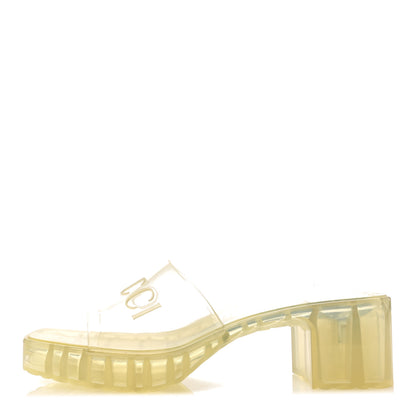 Gucci Rubber Gucci Logo Womens Platform 20/60mm Slide Sandals 39 Transparent 1 of 7