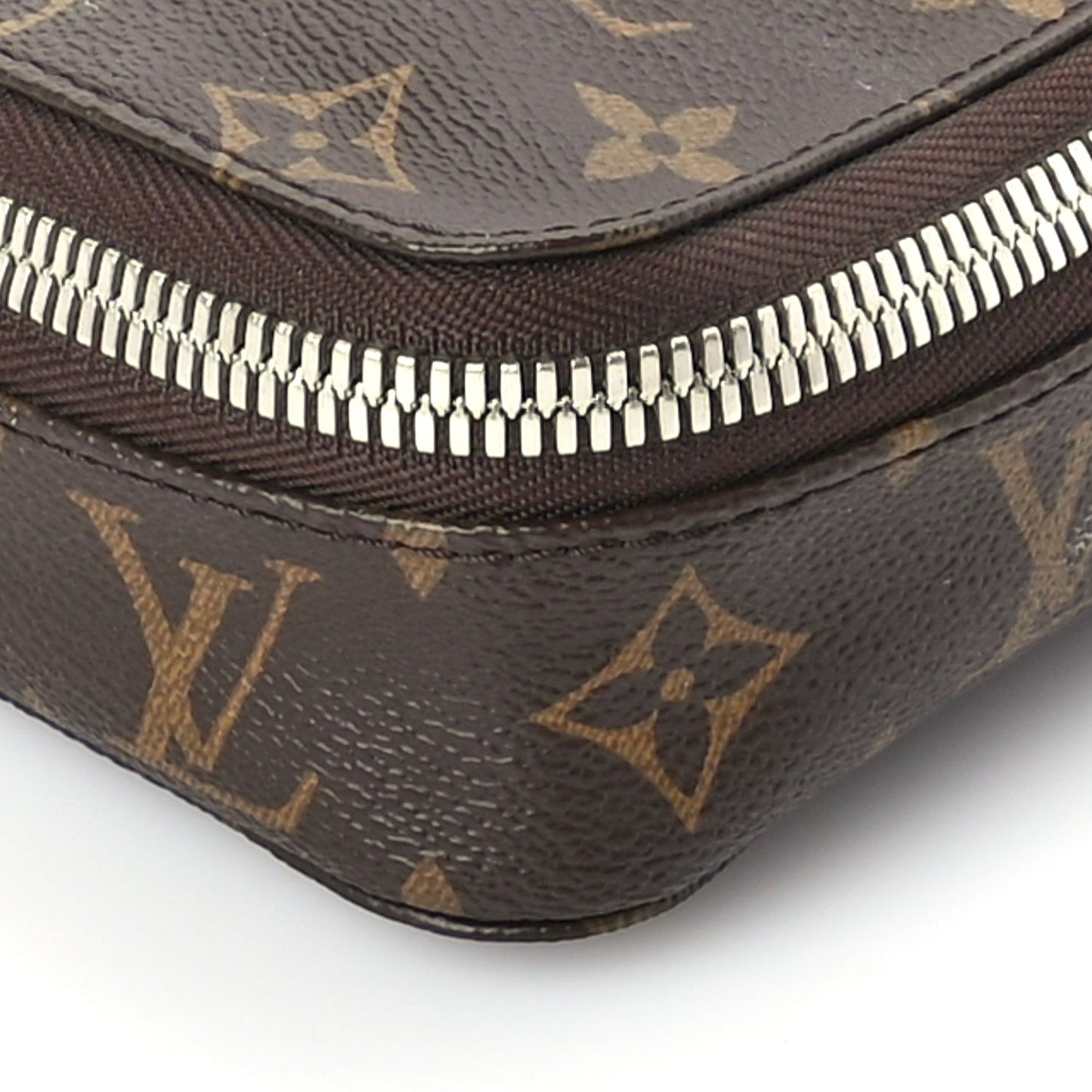 Monogram Horizon Accessories Pouch