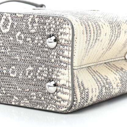 Louis Vuitton Lizard Mini Capucines Argento 8 of 8