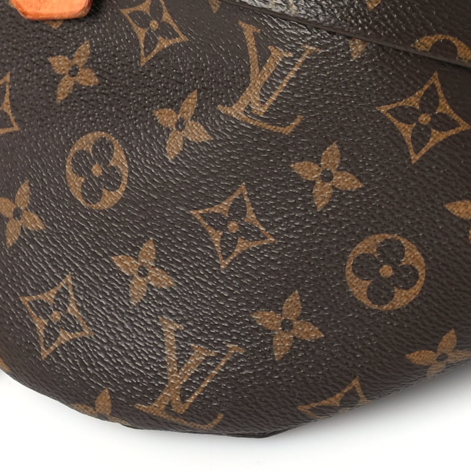 Louis Vuitton Monogram Bumbag 8 of 8