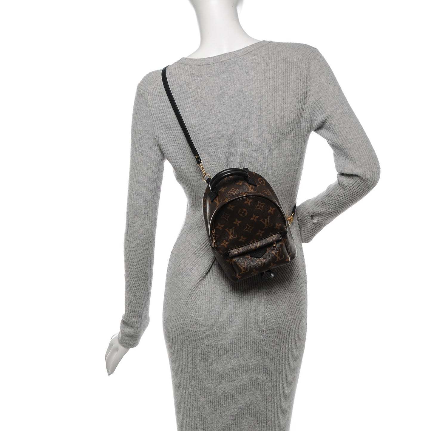 Monogram Palm Springs Backpack Mini