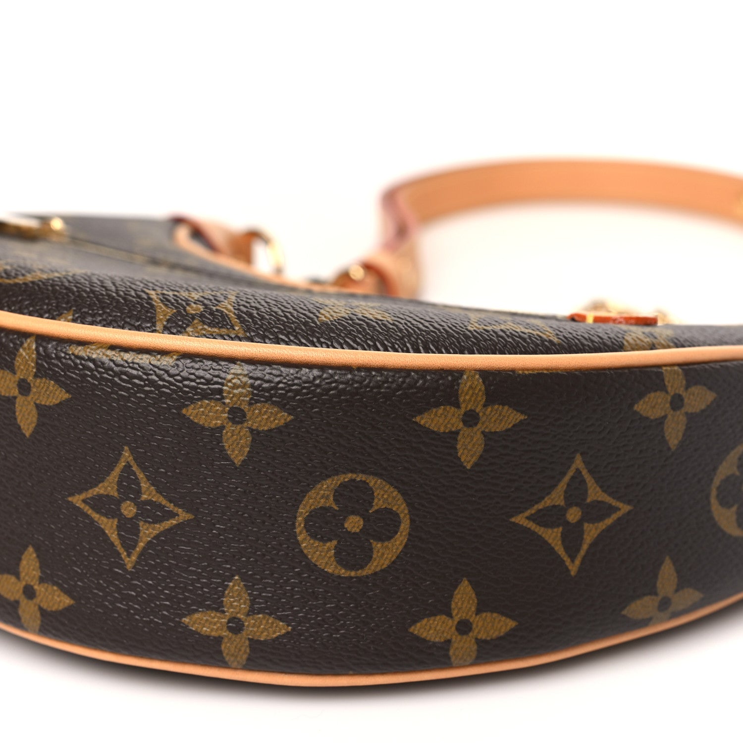 Louis Vuitton Monogram Loop 9 of 10