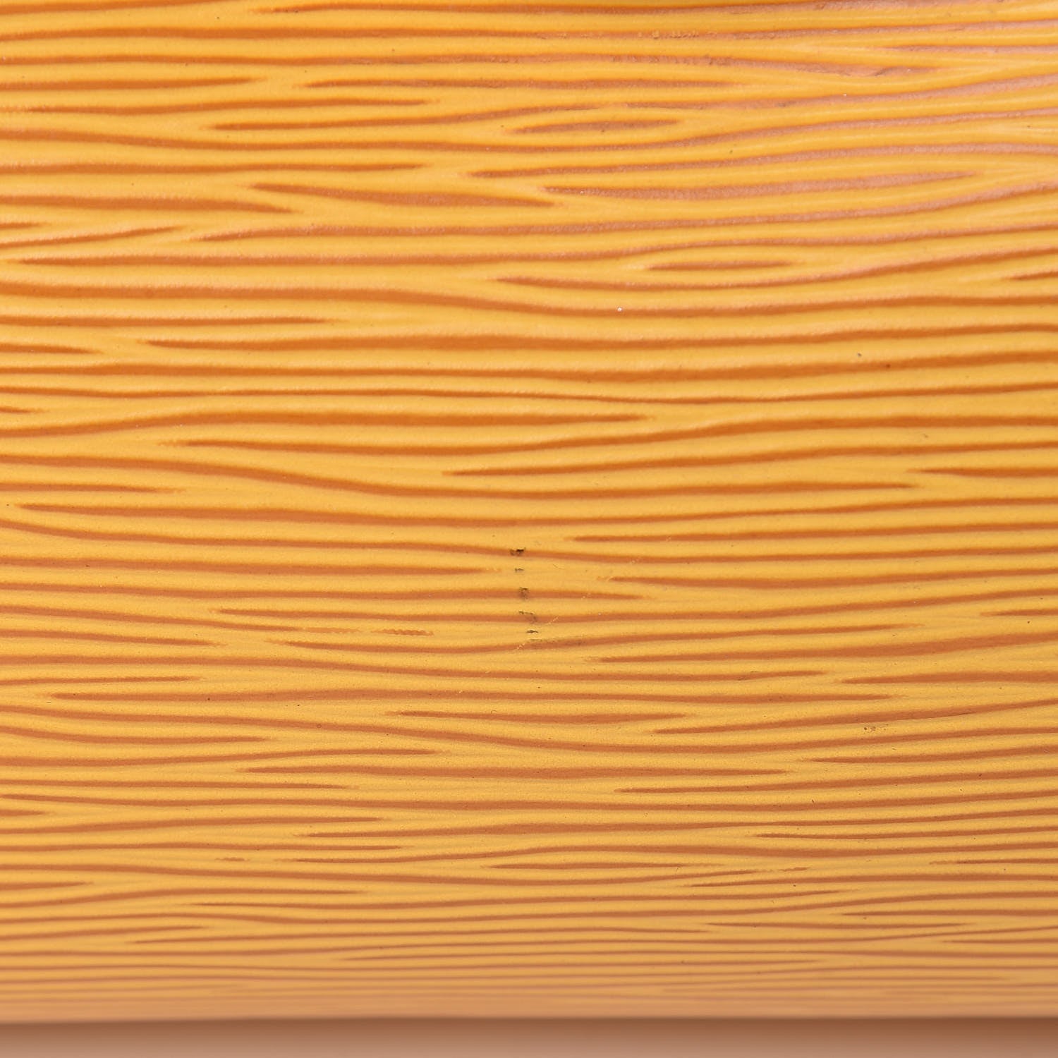 Louis Vuitton Epi Speedy 25 Tassil 15 of 17