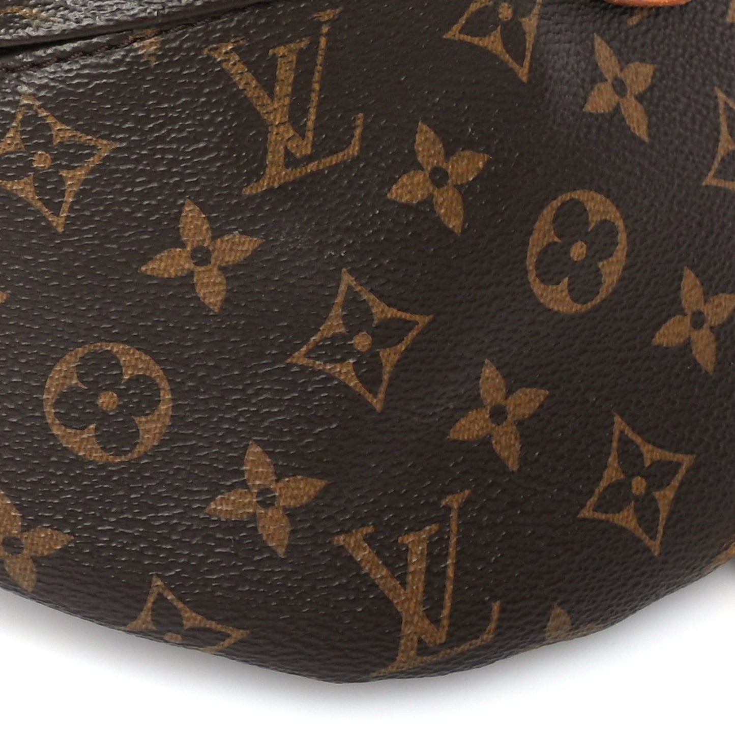 Monogram Bumbag