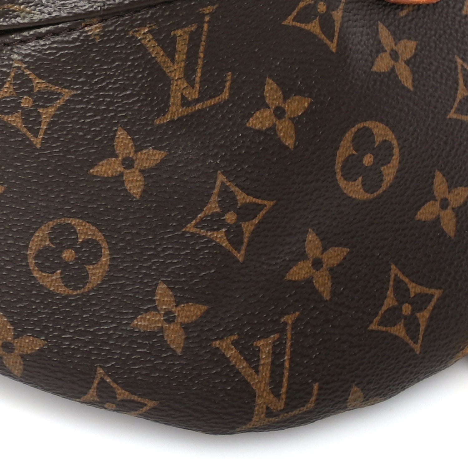 Louis Vuitton Monogram Bumbag 7 of 8