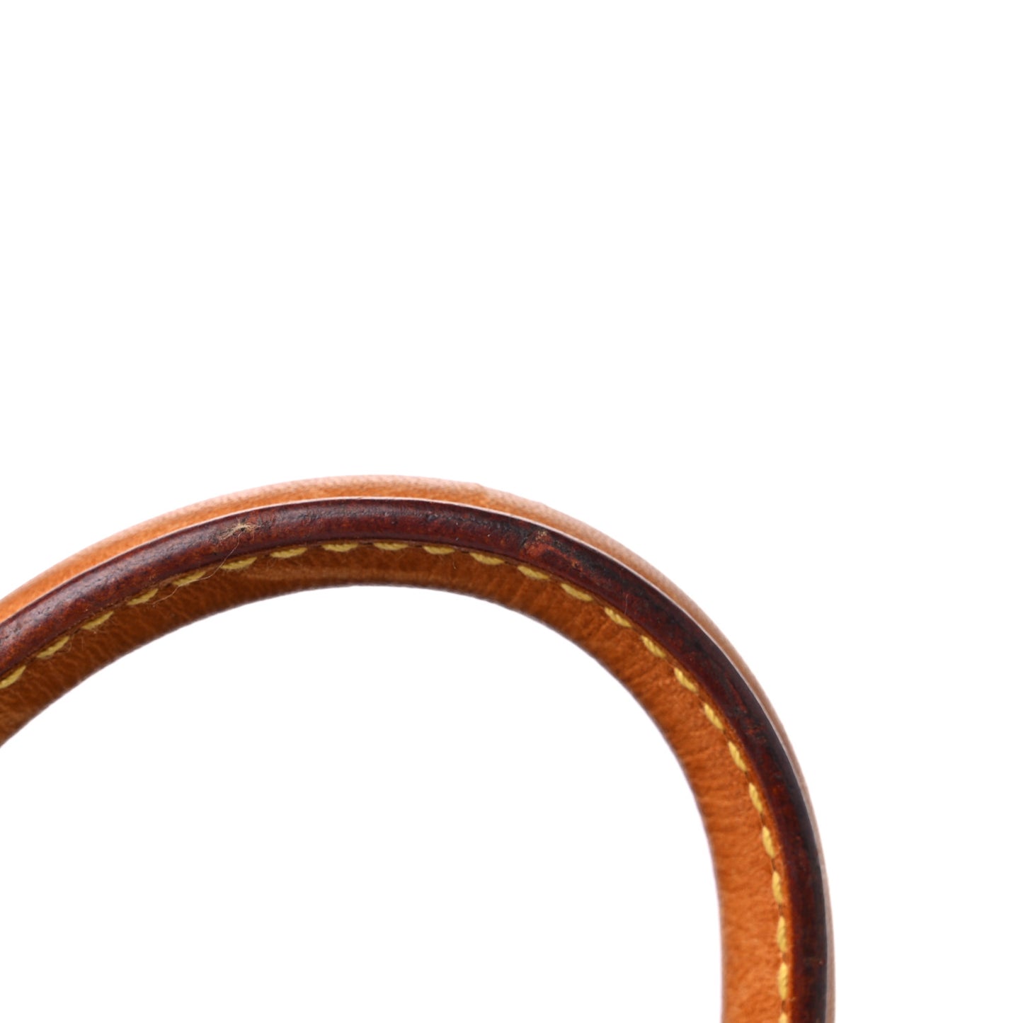 Monogram Mini Sac HL Speedy