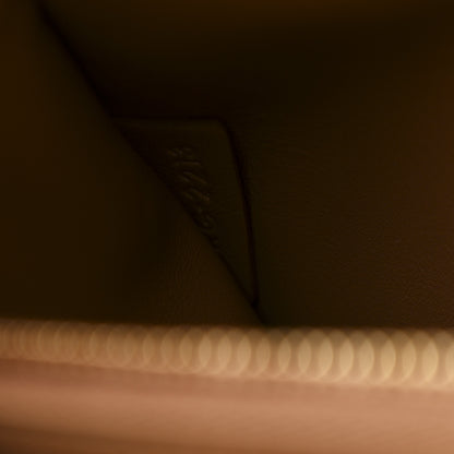 Celine Shiny Calfskin Medium Triomphe Bronze 8 of 12