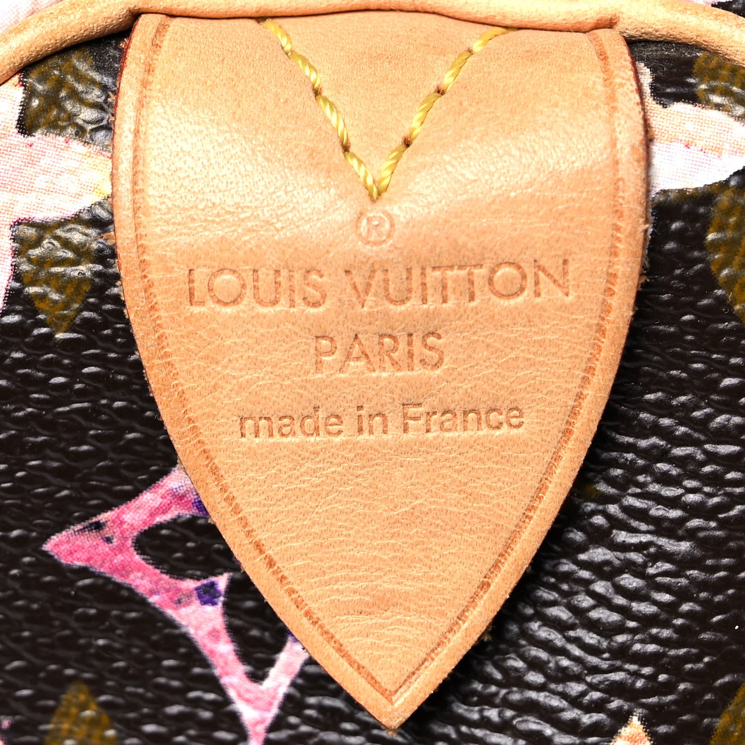 Louis Vuitton Watercolor Aquarelle Speedy 30 Brown 5 of 11
