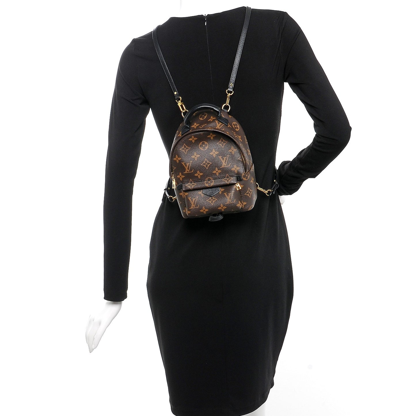 Monogram Palm Springs Backpack Mini