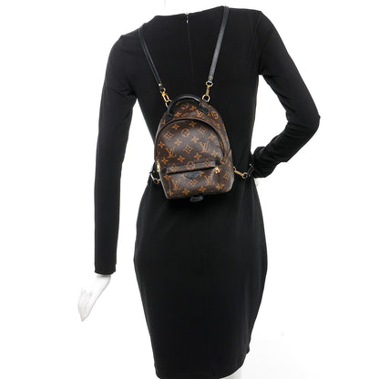 Louis Vuitton Monogram Palm Springs Backpack Mini 2 of 6