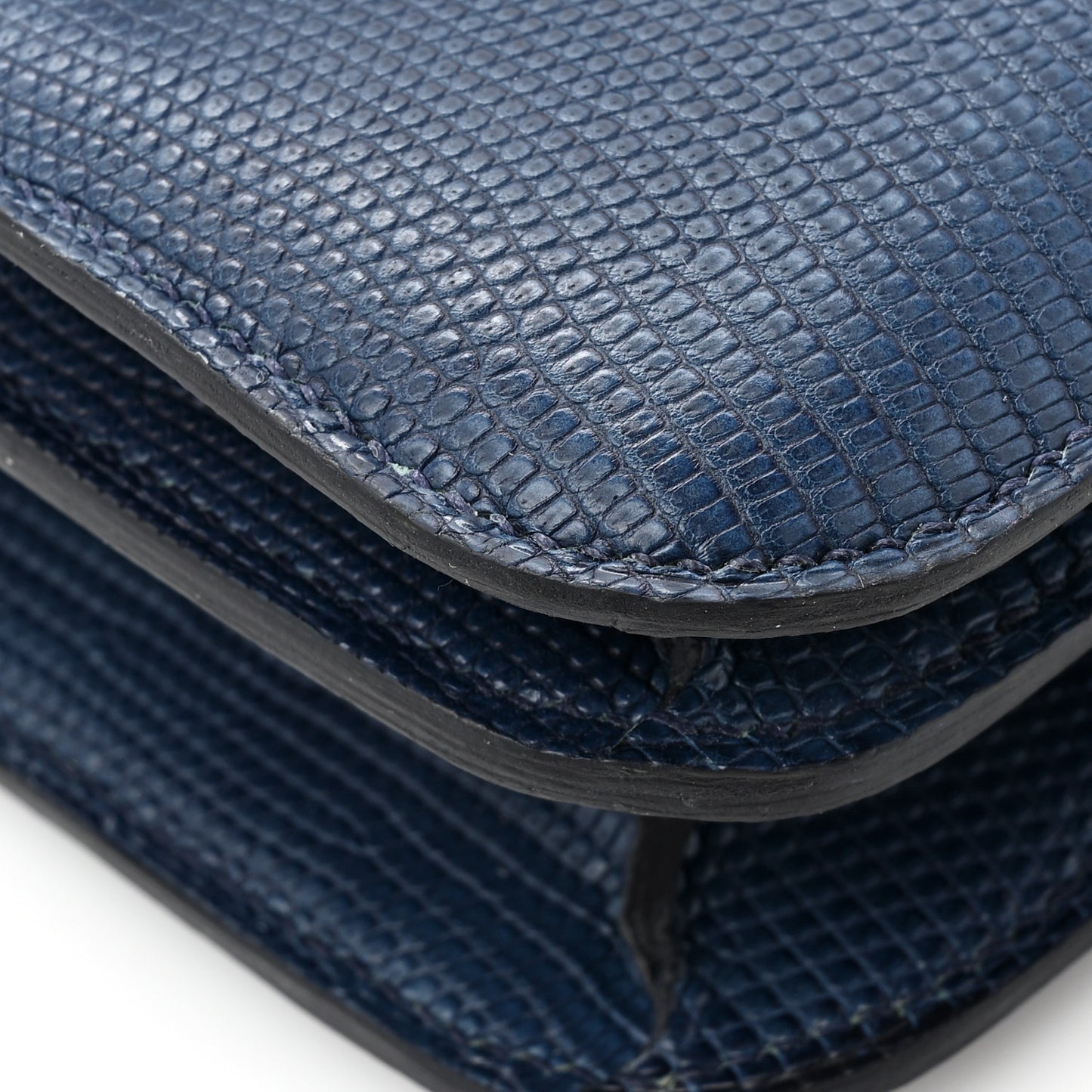 Niloticus Lizard Aizome Constance 18 Tomekon