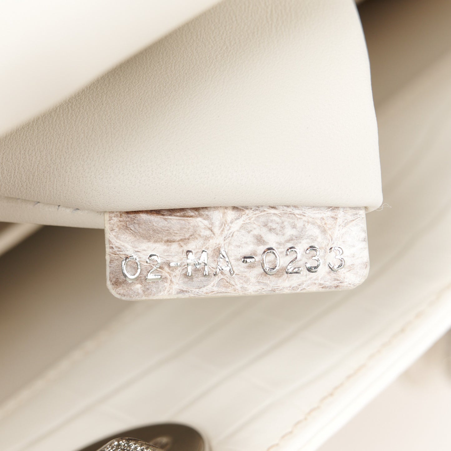 Niloticus Crocodile Himalaya Crystal Medium Lady Dior White