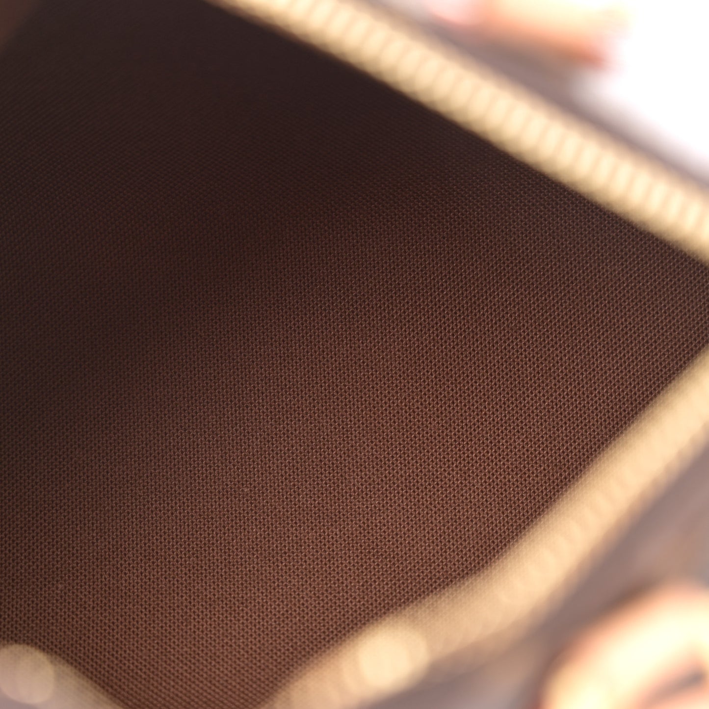 Monogram Nano Speedy