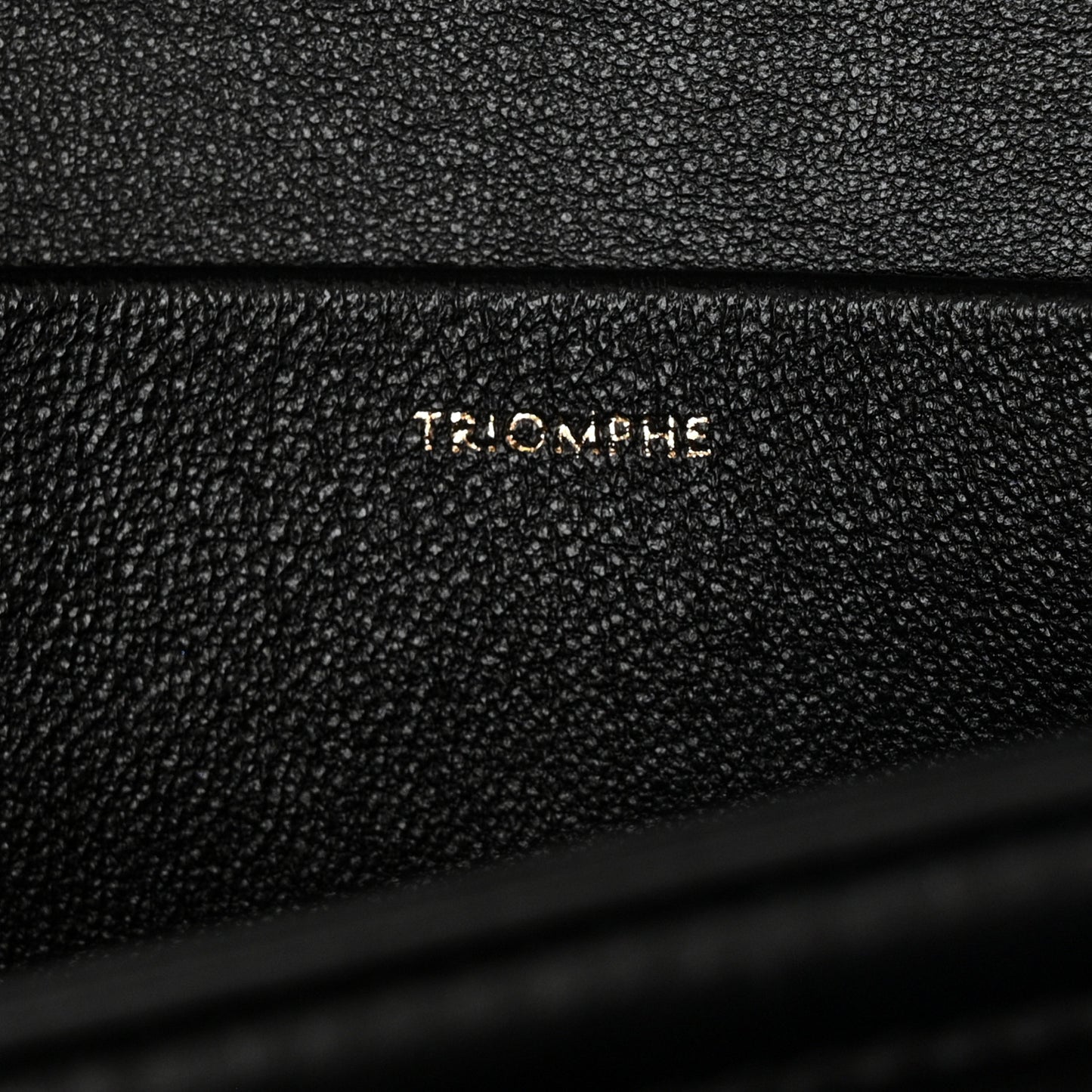 Shiny Calfskin Medium Triomphe Black