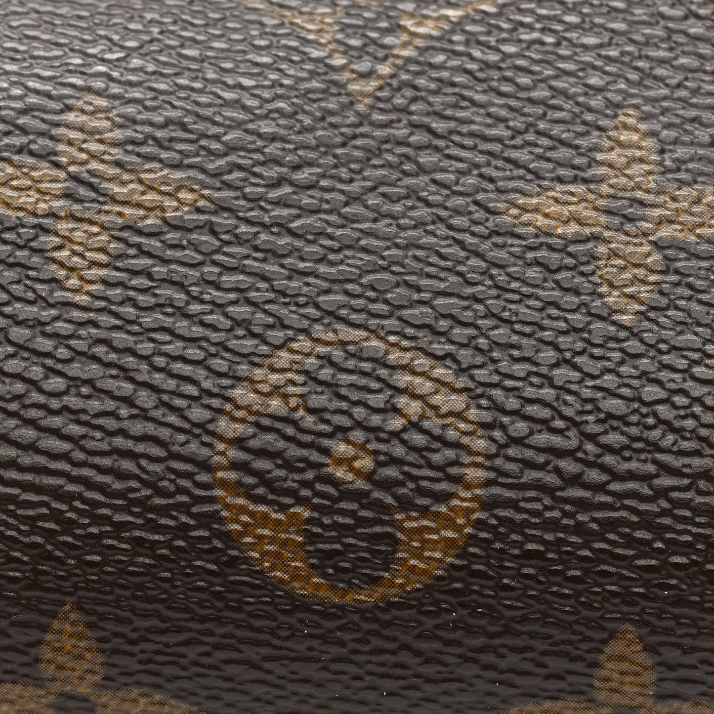 Monogram Mini Papillon
