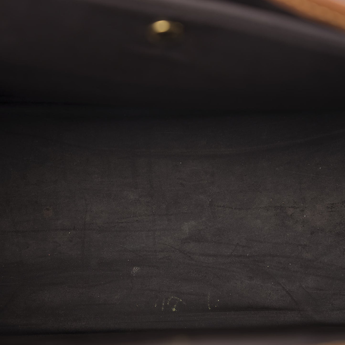 Monogram Baxter PM Dog Pet Carrier