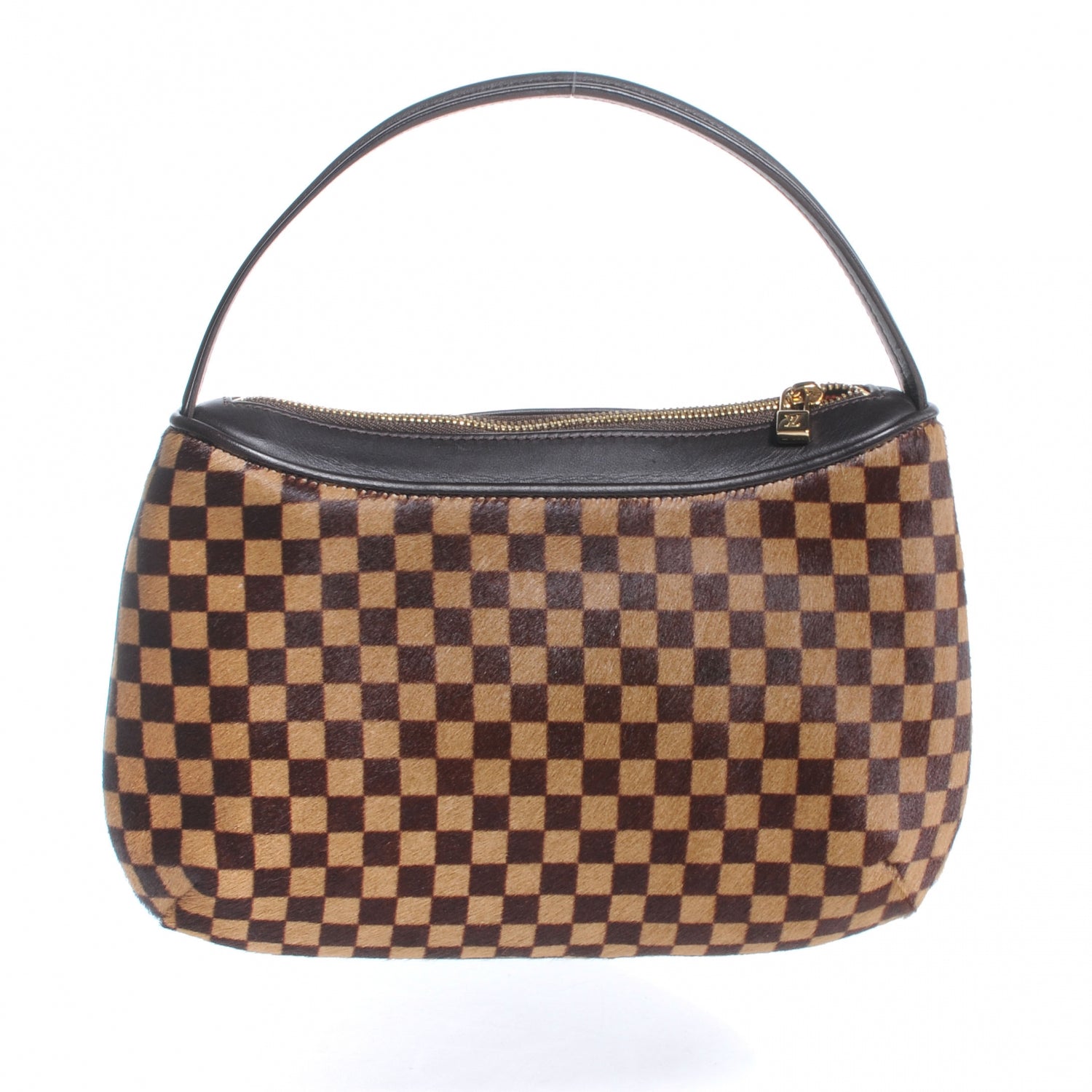 Louis Vuitton Damier Sauvage Tigre 1 of 7