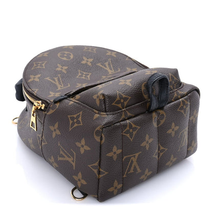 Louis Vuitton Monogram Palm Springs Backpack Mini 3 of 7