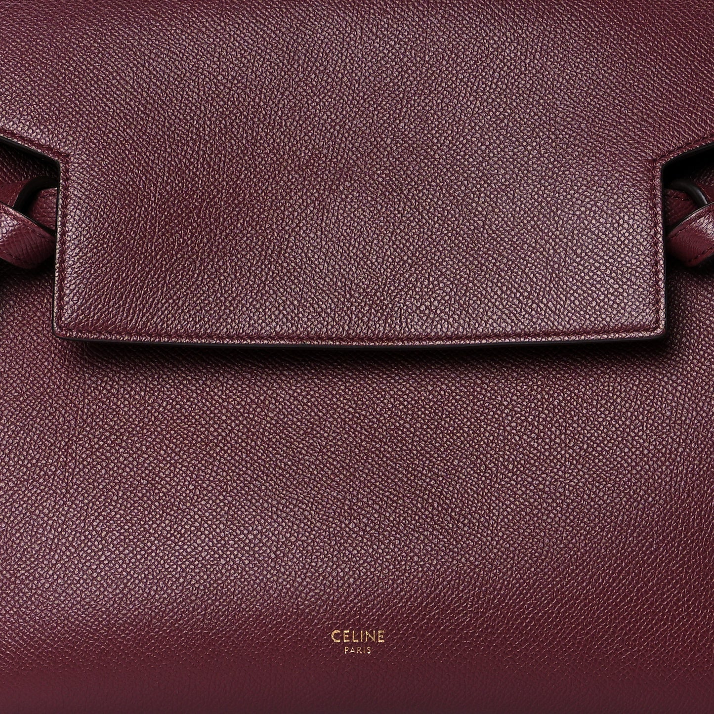 Grained Calfskin Mini Belt Bag Plum