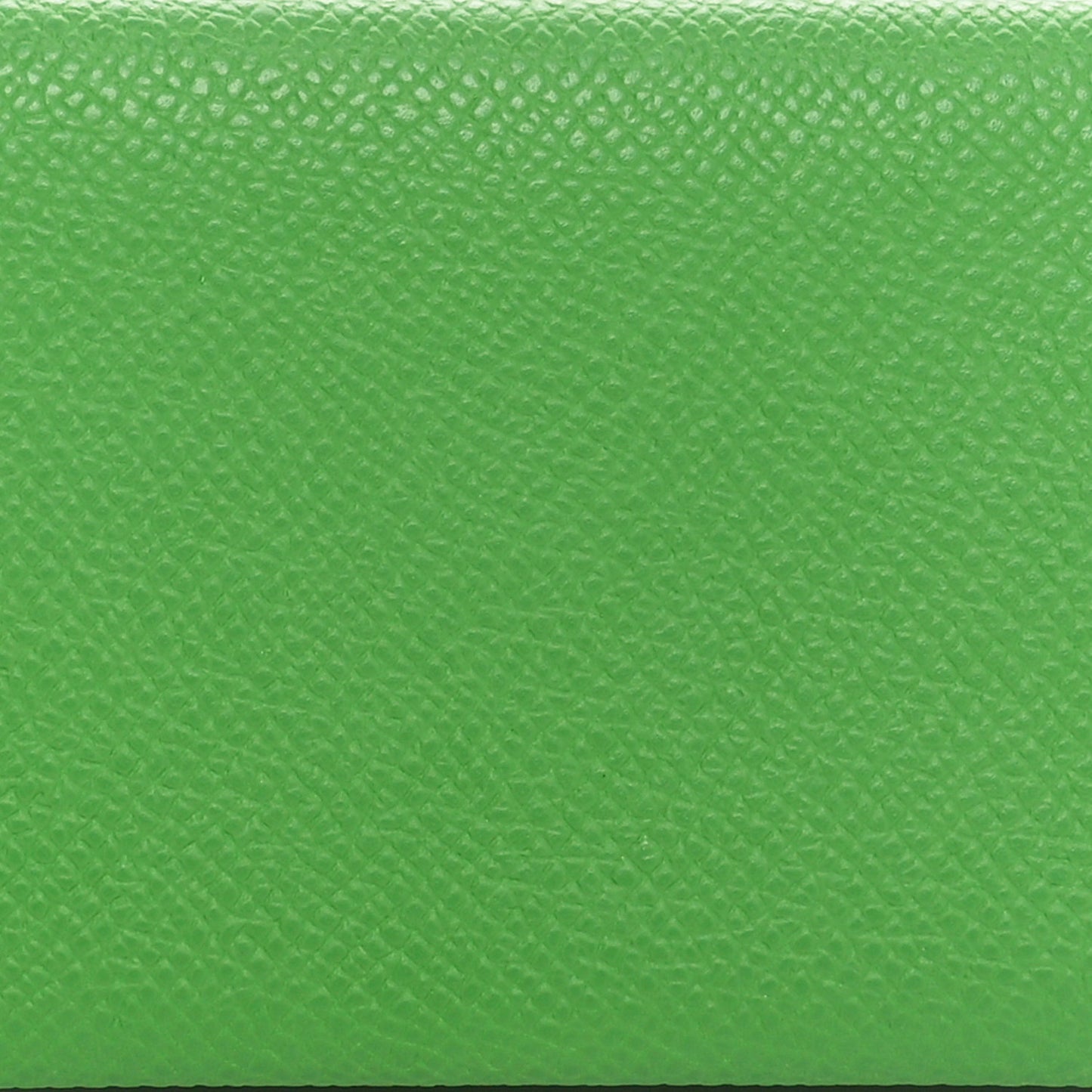 Epsom Verso Calvi Card Case Vert Yucca Celeste
