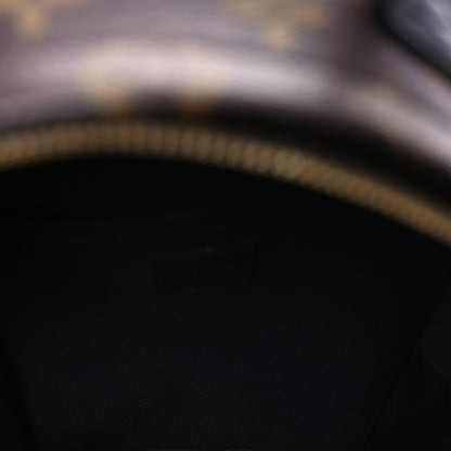 Louis Vuitton Monogram Palm Springs Backpack PM 5 of 7