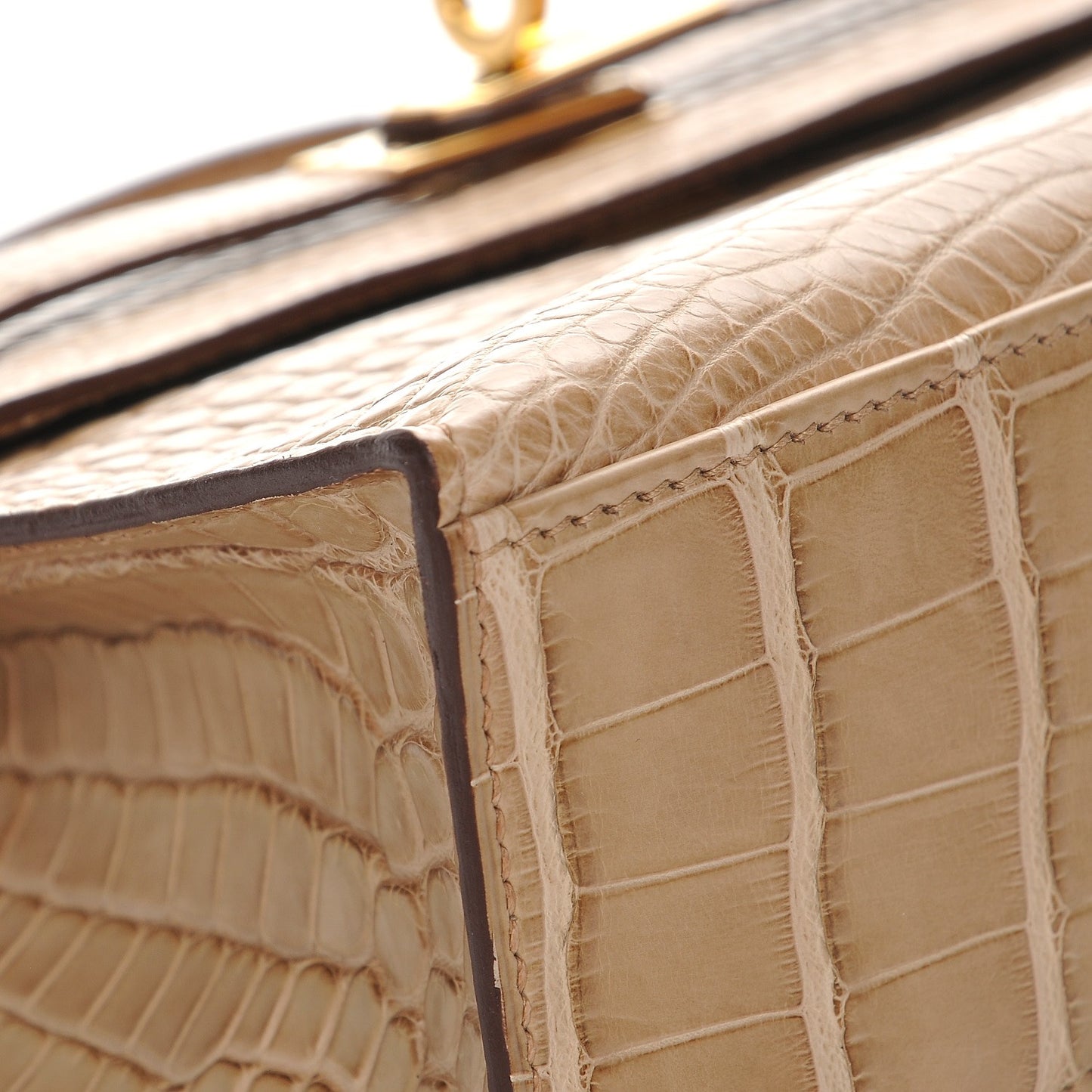 Matte Alligator Kelly Pochette Poussiere