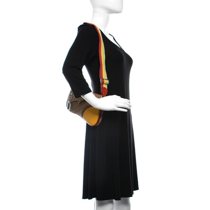 Christian Dior Monogram Rasta Double Saddle Beige 2 of 16