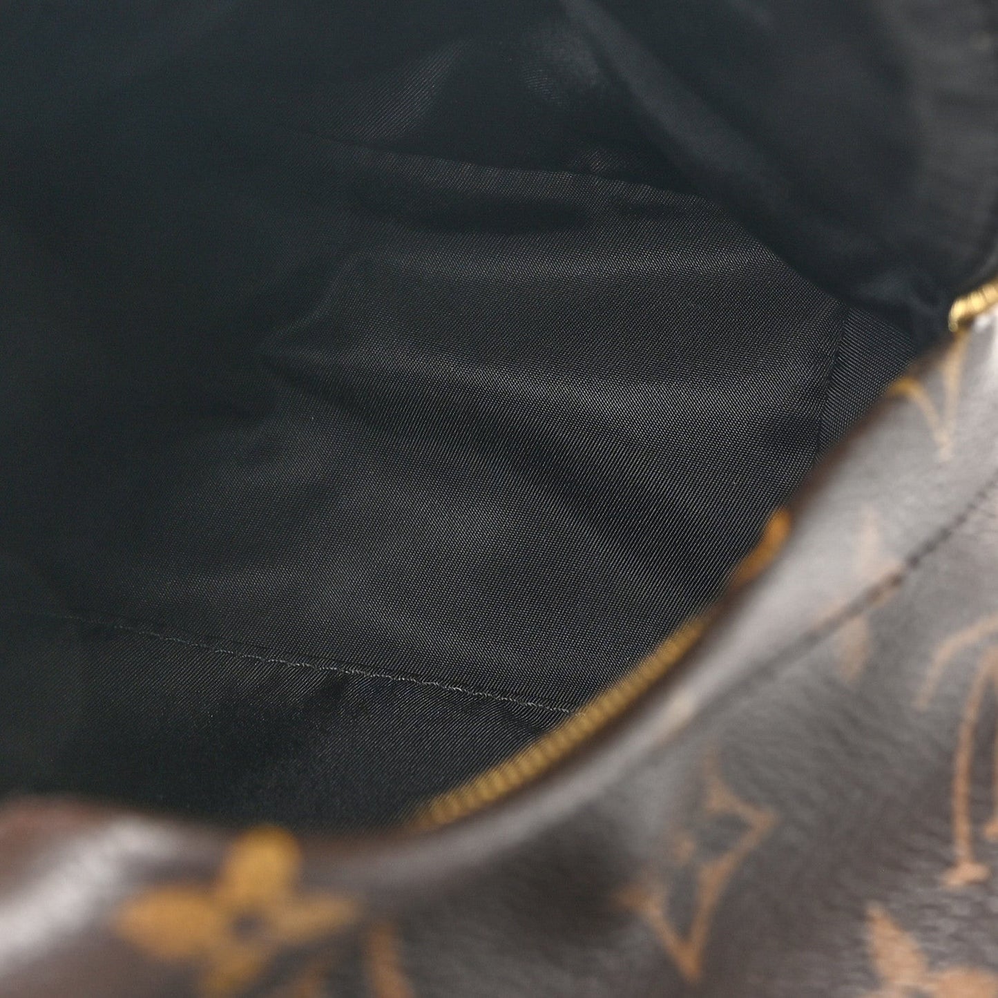 Monogram Palm Springs Backpack Mini