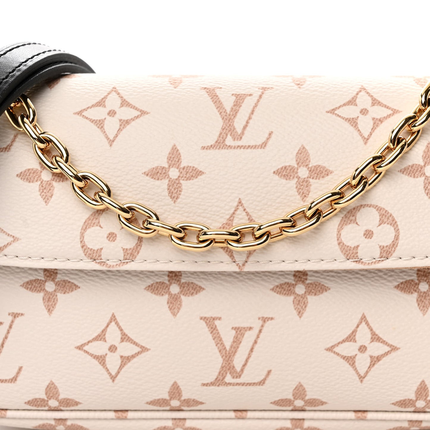 Monogram Dune Ivy Wallet On Chain