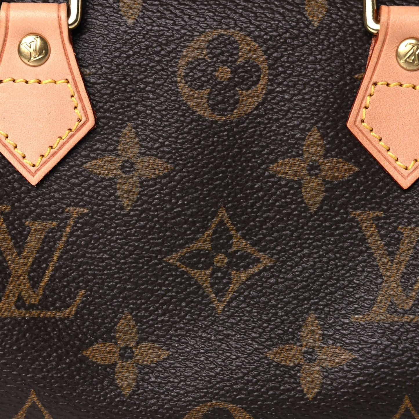 Monogram Nano Speedy Bandouliere