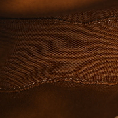 Celine Triomphe Canvas Calfskin Heart Bag Tan 4 of 8