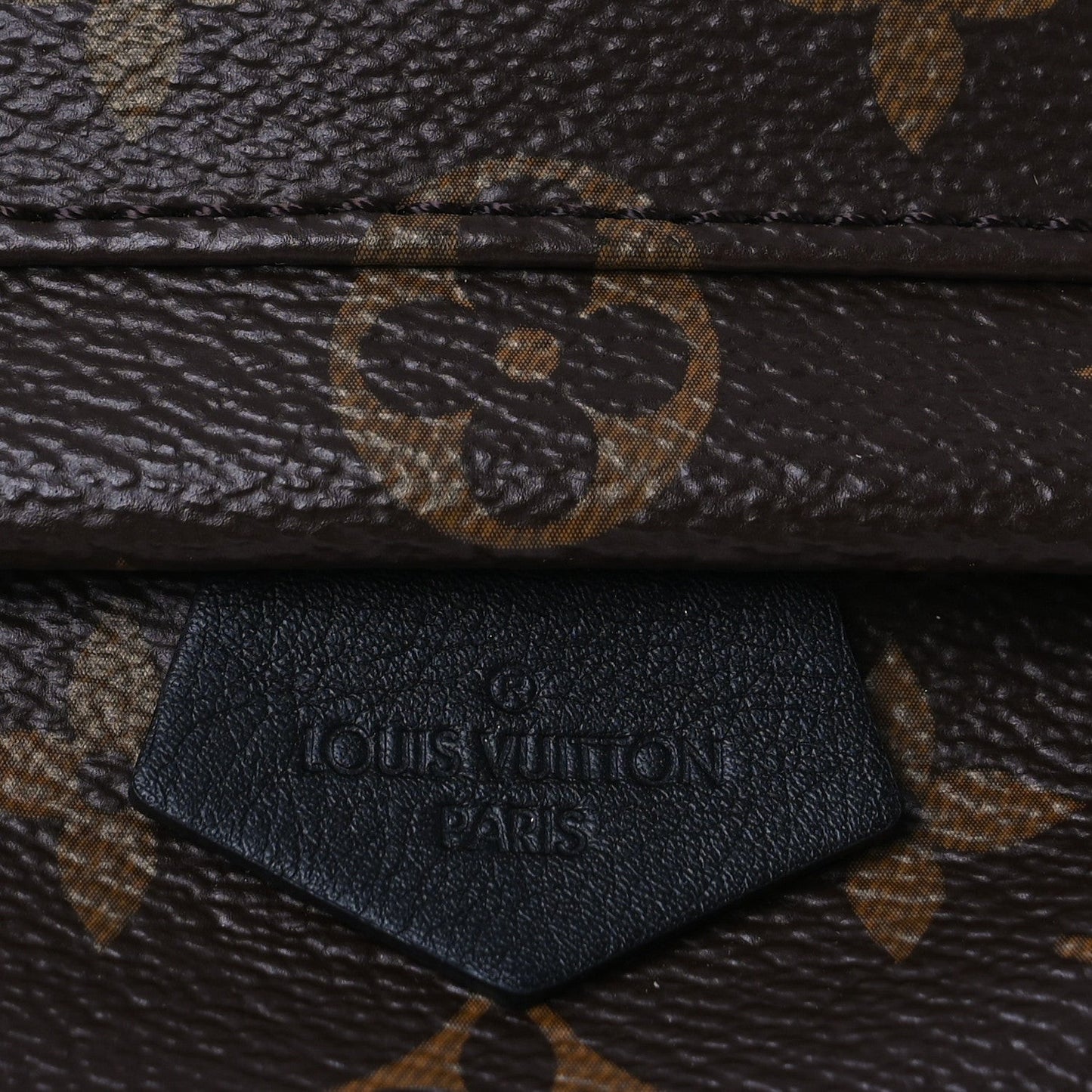 Monogram Palm Springs Backpack Mini