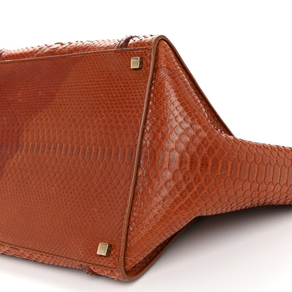 Celine Snakeskin Medium Phantom Luggage Chestnut 9 of 13