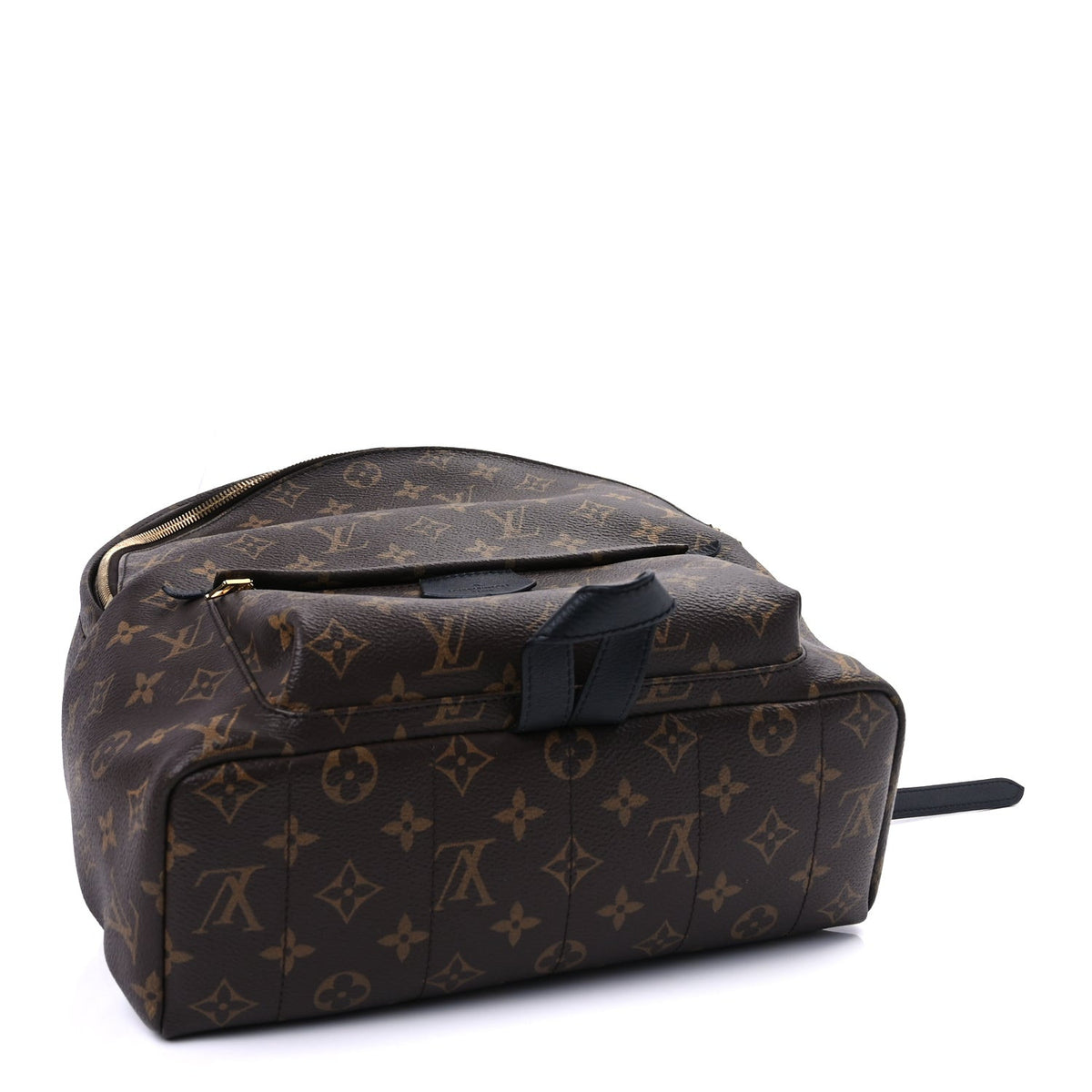 Monogram Palm Springs Backpack MM