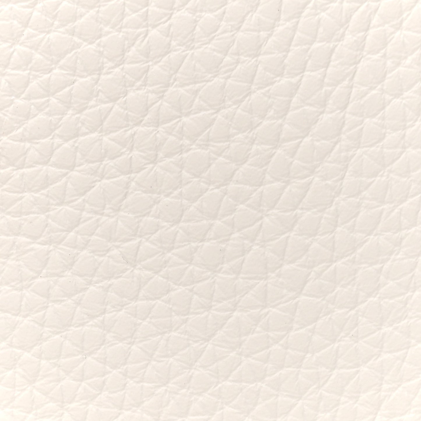 Taurillon Clemence Amazone Evelyne TPM Gris Pale