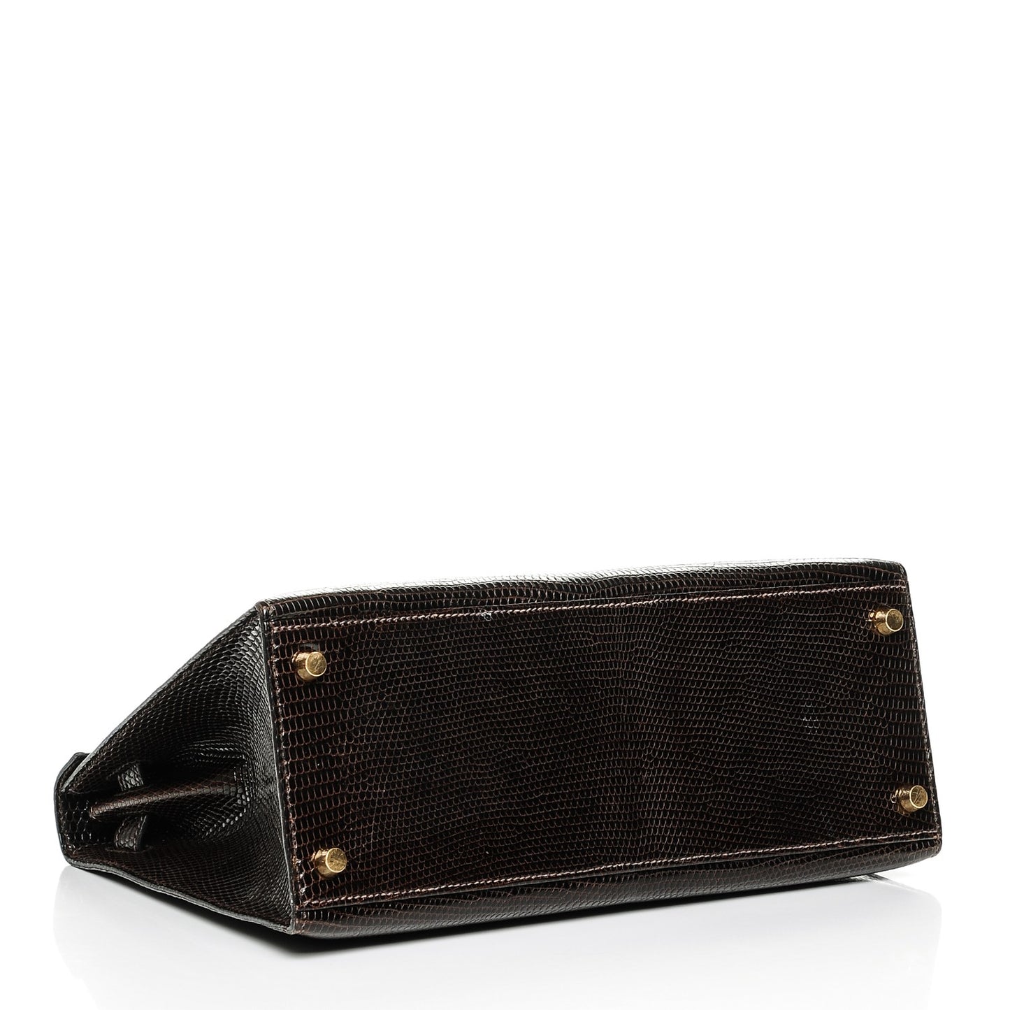 Shiny Lizard Kelly 28 Havane