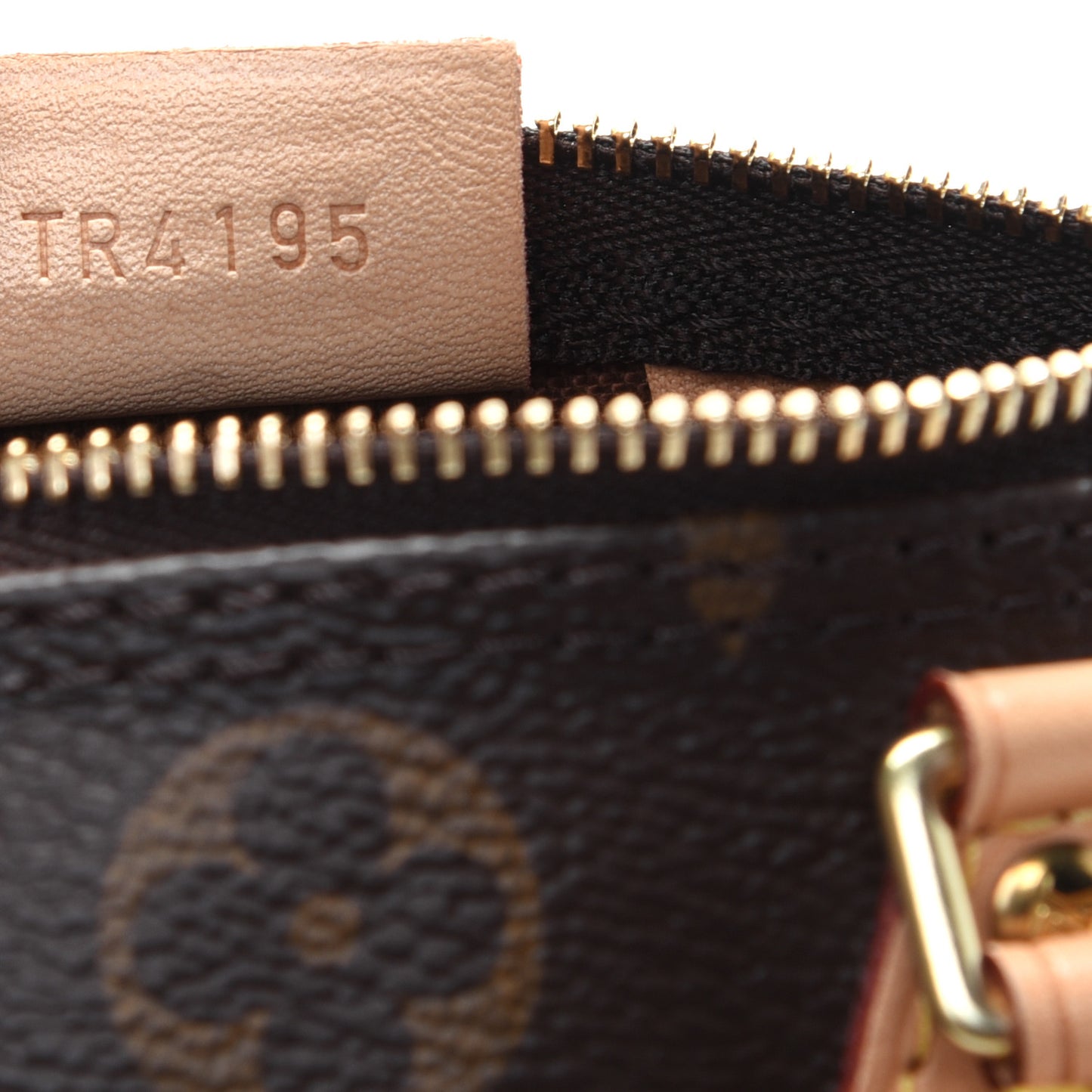 Monogram Nano Speedy