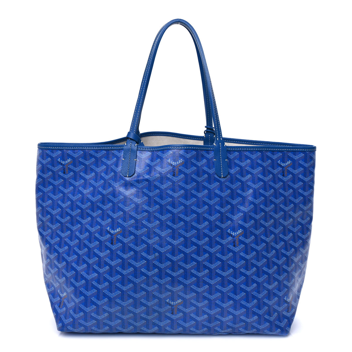 Goyard Goyardine Saint Louis PM Sky Blue 1 of 8