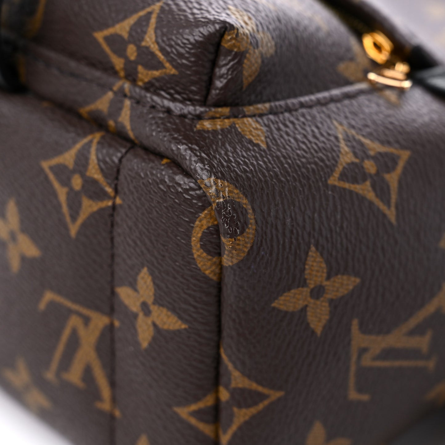 Monogram Palm Springs Backpack Mini