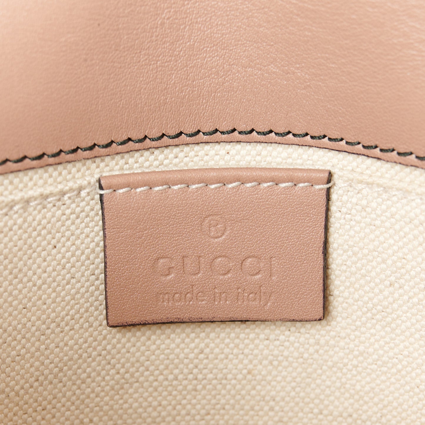 Guccissima Small Emily Chain Shoulder Bag Camelia