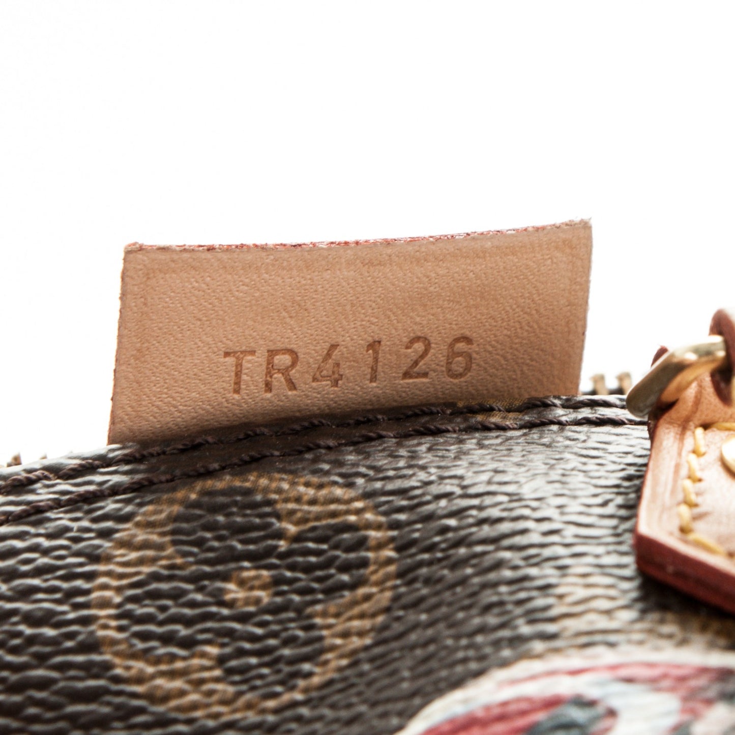 Monogram World Tour Nano Speedy