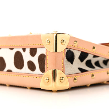 Louis Vuitton Monogram Multicolor Dalmatian Pochette 9 of 12