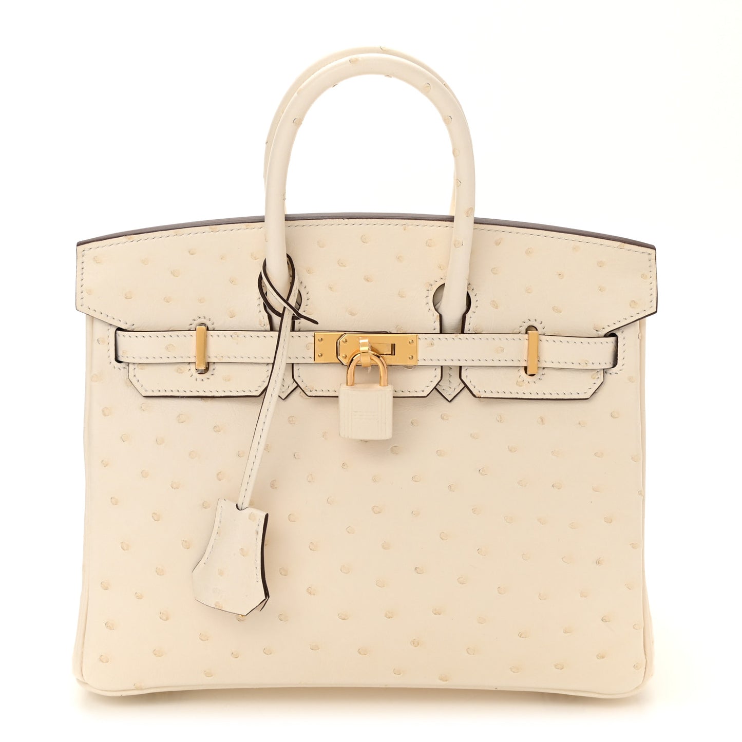 Ostrich Birkin 25 Nata
