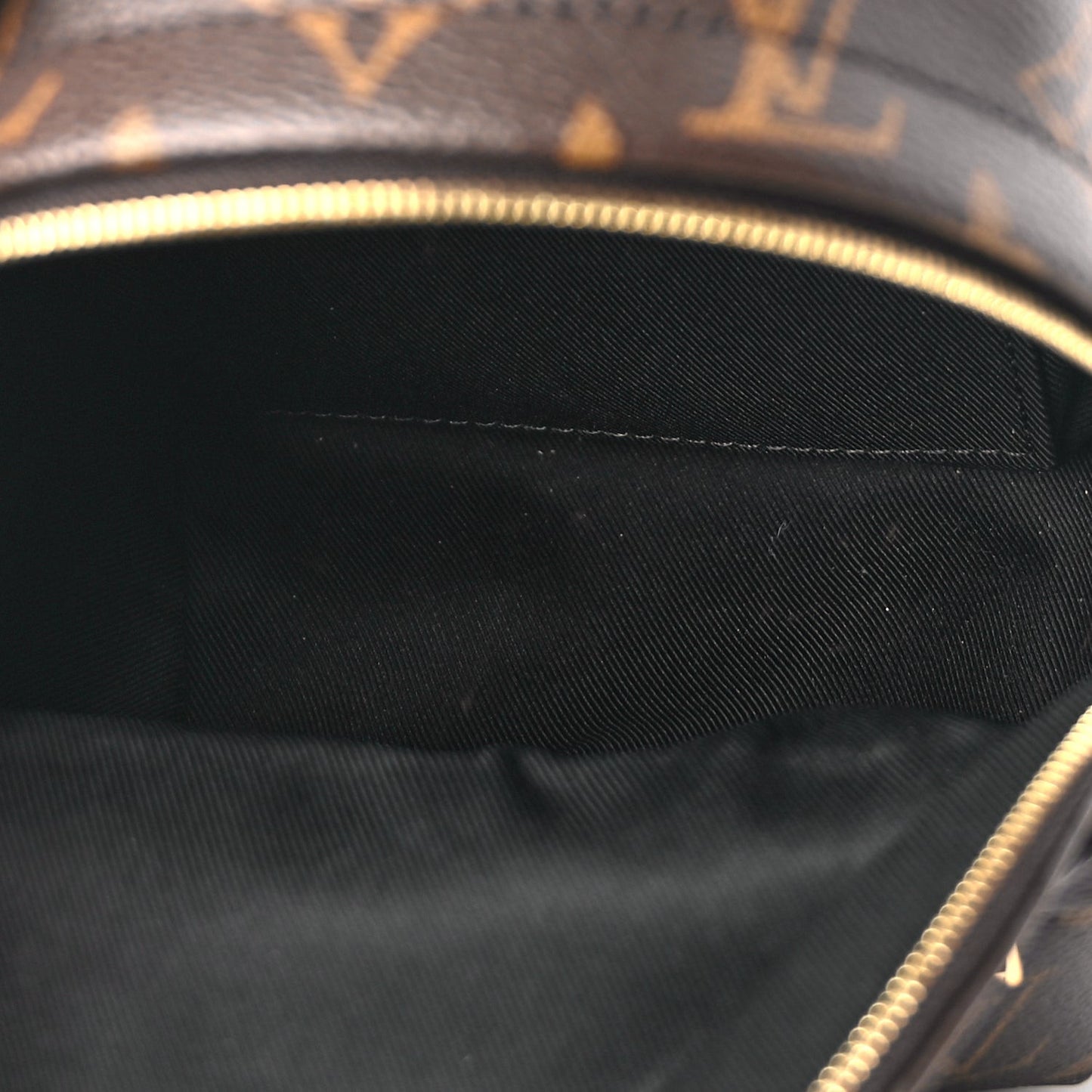 Monogram Palm Springs Backpack Mini