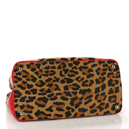 Prada Calf Hair Ostrich Leopard Print Medium Double Bag Miele Voyage 4 of 9