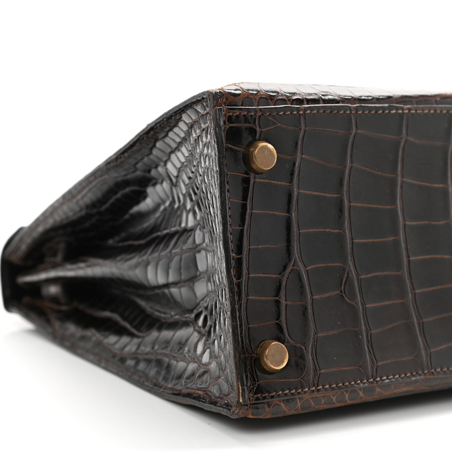 Shiny Porosus Crocodile Kelly Sellier 28